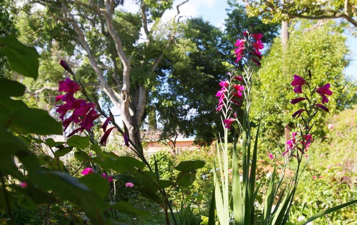 Garden House in Corfu Villa Corfu  Buitenkant foto